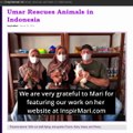 inspiremari.nl/ - An Irish man rescuing kittens in Indonesia