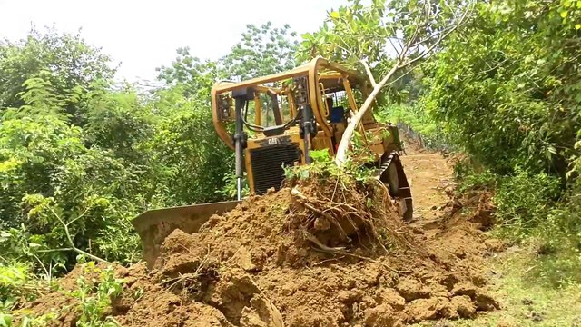 The Power of the Bulldozer: How Skilled Operators Build Effective Roads on Plantations