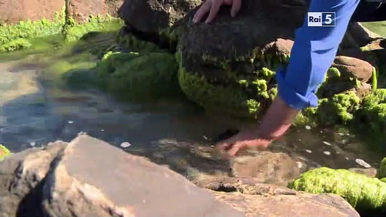 Wild Italy S3E6 - Sotto le onde