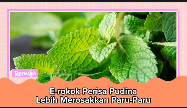 E-rokok Perisa Pudina Lebih Merosakkan Paru-Paru