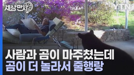 [세상만사] 얼떨결에 곰을 물리친(?) 미국인 / YTN