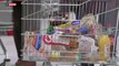 Inflation : des produits dits «non-prioritaires» sont délaissés par les consommateurs