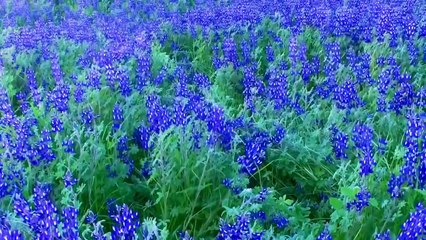 Good Music Share 好歌分享 If you close your eyes I’m still with y