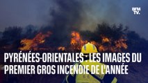 Pyrénées-Orientales: les images du premier gros incendie de l'année