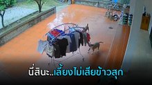 ไวรัล ! เจ้าของบ้านสงสัย ตากผ้าไว้เจอฝนตกทีไร ทำไมผ้าไม่เคยเปียก เปิดกล้องรู้เลย..