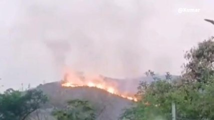 नालंदा: वैभारगिरि पर्वत पर लगा भीषण आग, हादसा देख कांप जाएगी रूह