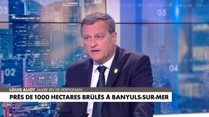 Louis Aliot : «Il y a déjà des restrictions, cela commence à devenir très inquiétant»