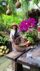 Enjoy beautiful nature with rural life