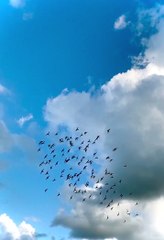 AMAZING WEATHER ☁️️  | world top 10 beautiful places