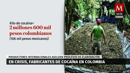 “Aguantando hambre”: la crisis cocalera se expande por Colombia
