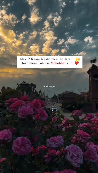 Ab सारे Kaam Nashe mein he krta hu Hosh mein Toh bss Mohobbat ki thi❤