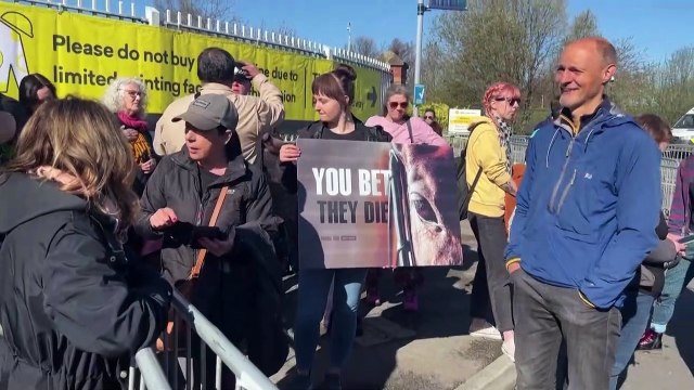 Animal rights activists demonstrate outside Grand National over horse deaths