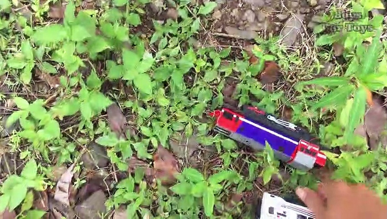 Finding the Lost Train