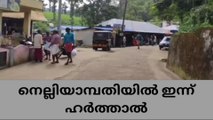 അരികൊമ്പനെ വേണ്ട ; നെല്ലിയാമ്പതിയിൽ ഇന്ന് ഹർത്താൽ