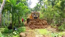 Bulldozers and Areca Palms: Creating Accessible Roads in Farm Settings || Bulldozer D6R XL