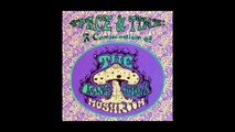 The Orange Alabaster Mushroom – Space & Time: A Compendium Of  Rock,Pop, Acid Rock, Psychedelic Rock