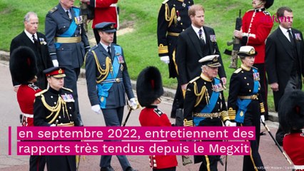 Tải video: Couronnement de Charles III : Harry et William volontairement 