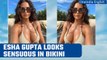 Esha Gupta soaks up the sun and raises the temp in a beautiful bikini | Oneindia News