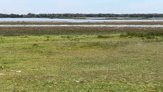 Ribera: Afirmar que lo que está a 30 kilómetros de Doñana no es Doñana, es no entender cómo funciona un ecosistema