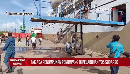 Download Video: Razia Pemudik, Petugas Pelabuhan Yos Sudarso Merauke Temukan 6 Burung Nuri Dilindungi Tanpa Dokumen!