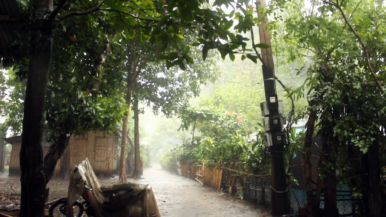 Heavy Raining in the Village.
