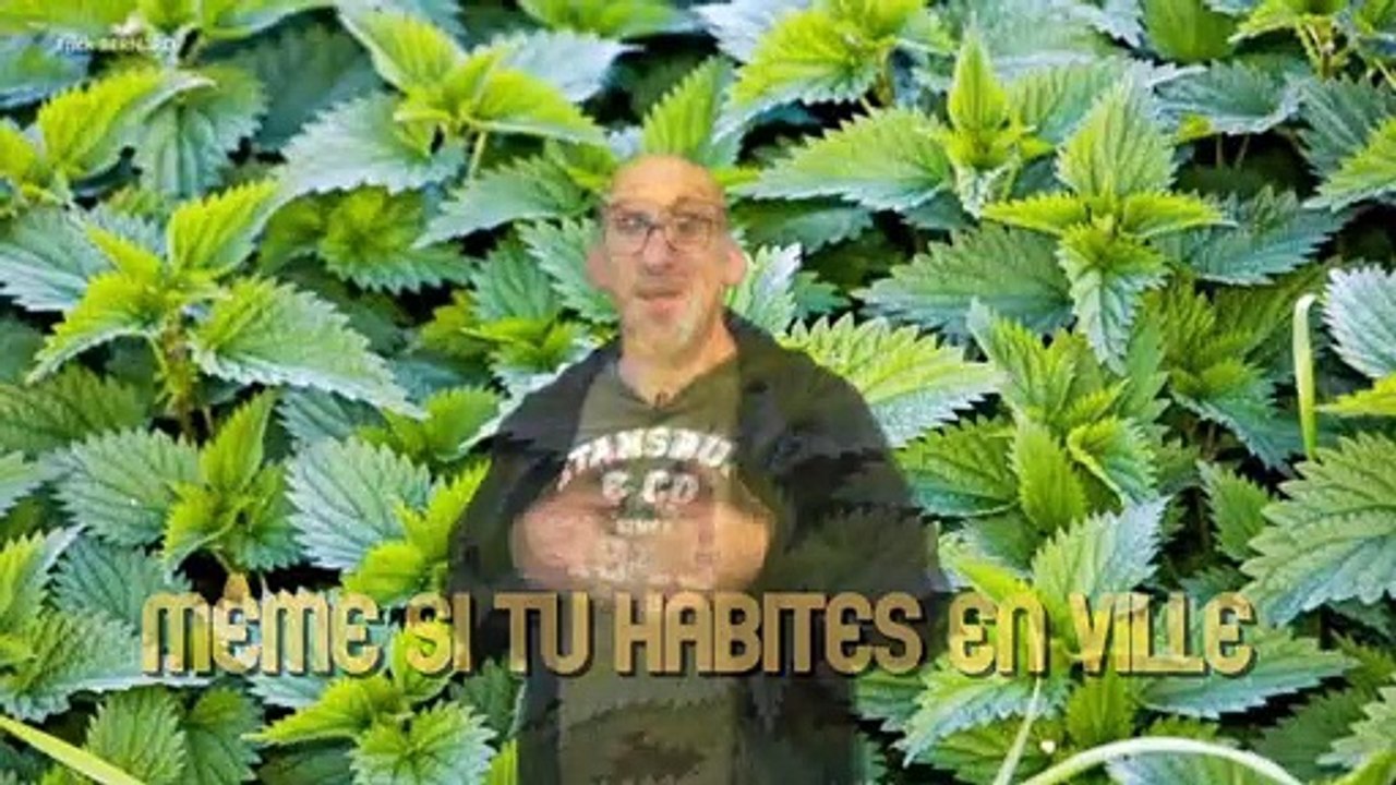 Quand on habite en ville on peut quand même jardiner 