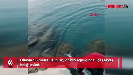 Oltayla 27 kiloluk liça balığı avladı