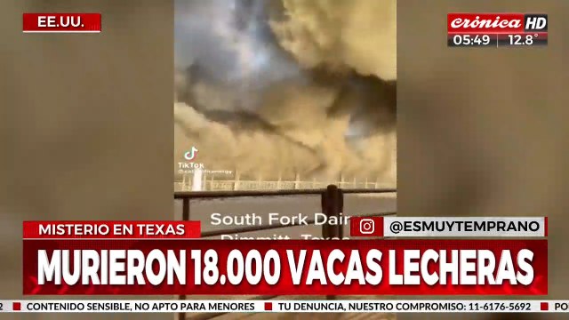 Explosión e incendio en una granja dejó 18.000 vacas muertas