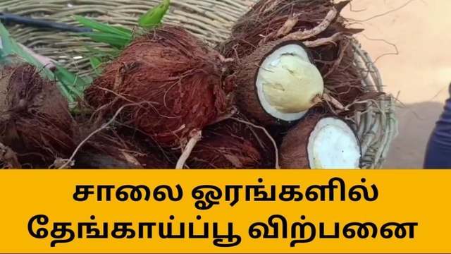 புதுகை:சாலை ஓரங்களில் தேங்காய்ப்பூ விற்பனை அமோகம்!