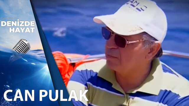 Koylara Giriş Rezervasyonla mı Olacak? Can Pulak Açıklıyor | Denizde Hayat