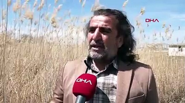 Van Gölü'nde görsel şölen! Flamingoların ilk kafilesi geldi