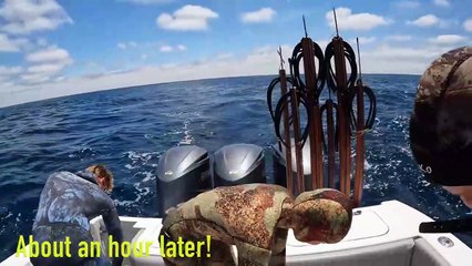 Chasing The Worlds BEST Eating Fish! __INTENSE Spearfishing__