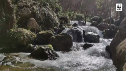 Dal 22 aprile tornano le Giornate delle Oasi Wwf