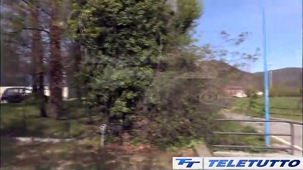 Video News - DA PARCO A MUSEO A CIELO APERTO