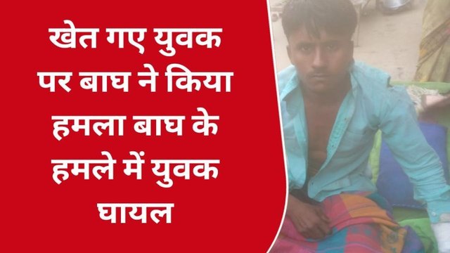 खीरी: खेत पर काम करने गया था किसान, आदमखोर बाघ ने किया जानलेवा हमला, और फिर