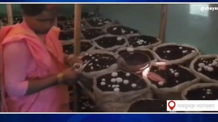 जहानाबाद: मशरूम की खेती कर महिलाएं बन रही है आत्मनिर्भर, देखिये खबर