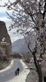 Most beautiful place | spring weather | Hunza