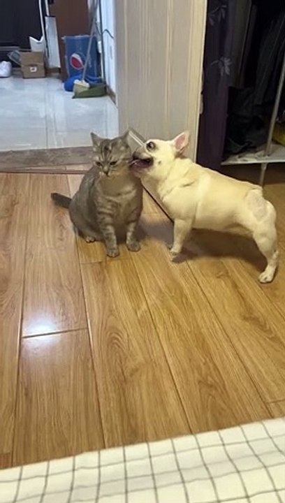 Funny moments