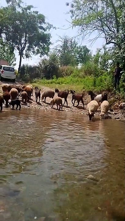 VID_20230415_113020