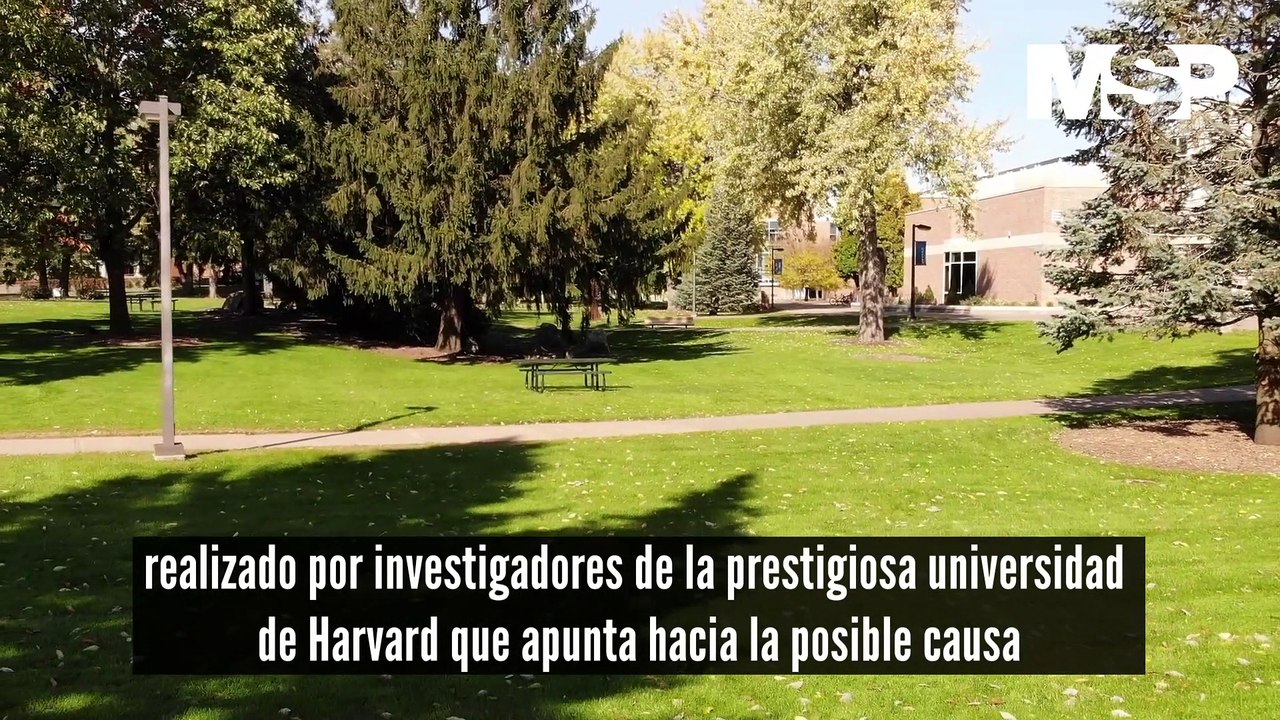 Enfermedad del beso: Virus que podría estar detrás de la Esclerosis Múltiple