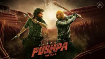 Pushpa 2: The Rule | Full Movie Leaked | Srivalli Died | Allu Arjun, Rashmika Mandanna