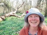 West Sussex Walks with Elaine Hammond Clapham Wood circular bluebell walk