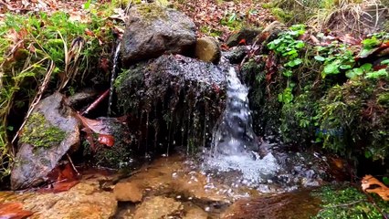 "Bien-être" Eau bouillonnante - Relaxation - détente