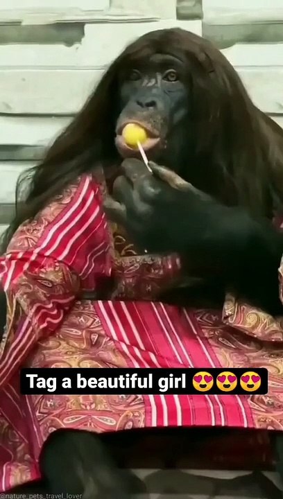 beautiful girl