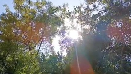 खरगोन: आसमान से बरसी आग,पारा 41 डिग्री पहुँचने से जनजीवन अस्तव्यस्त