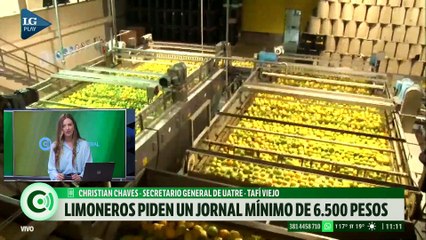 Los trabajadores del limón realizarán mañana un paro para reclamar un jornal de 6.500 pesos
