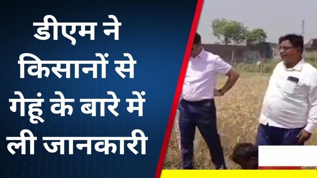 गोण्डा: गेहूं की पैदावार जानने के लिए किसान के खेत में पहुंचे डीएम