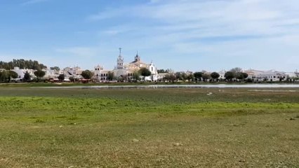 La ministra Ribera visita las zonas más sensibles del parque de Doñana