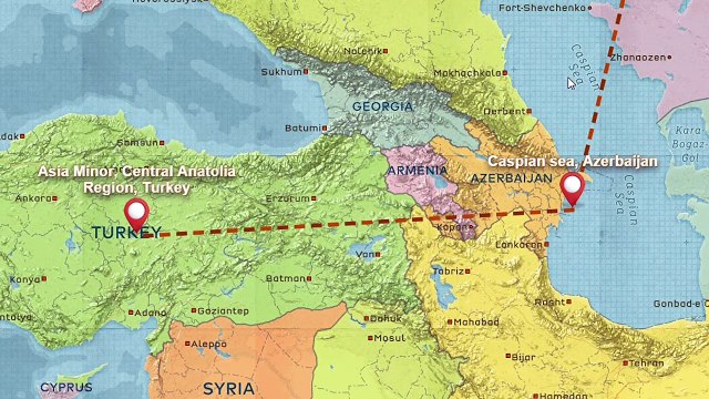 ALABAI - 'WOLF CHALLENGER' - Central Asian Shepherd Dog