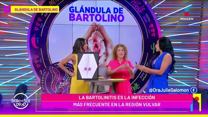 Glándulas de Bartolino: Qué son, para qué sirven e infecciones que se pueden generar